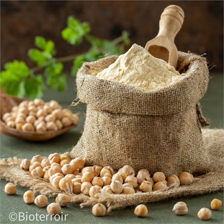 Farine de pois chiche BIO